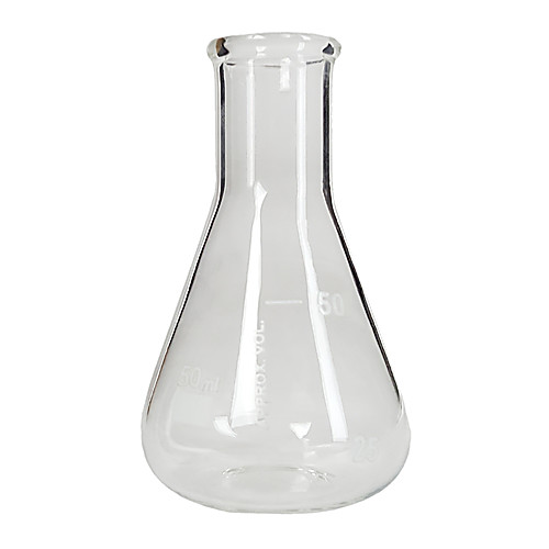 Erlenmeyer de 250ml x 12 unidades marca GSC International Inc.